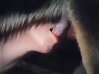 Sexy babe sucking a big dog dick