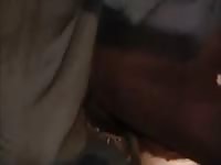 Man fucks animal on zoo sex tv