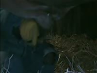 Gay beastiality tumblr sucking a horse cock
