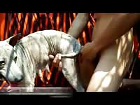 Sexy man and an animal hot sex