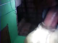 Fucking a tight hole of a k9 porn