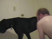 Old guy savoring a dog's creampie