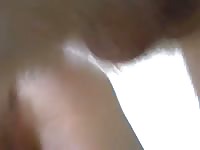 Guy with a beard enjoying his canine dildo