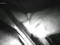 Night fucking on a farm xxx
