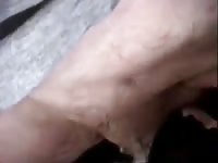 Mexzoo hard dick deepthroated on a barn