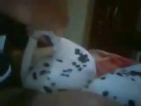 Animal sex fun with a horny dalmatian