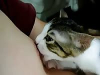 Gay enjoys face fucking a cat
