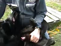 Gay beastiality story banging dogs in the park