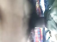 Fucking my pet animal xxx
