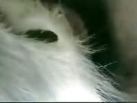 Beastiality taboo banging a hairy dog