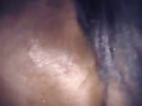 Naughty dude commits beastiality xxx