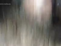 Beeg animal got creampied by man