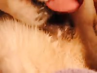 Anal animal sex satisfies naughty man
