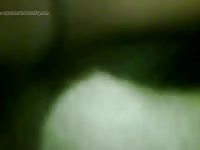 Late night animal sex with a gay