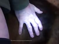 Man fucking a horse anal sex