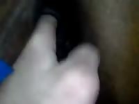Gay beast destroying a dog's ass