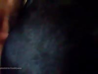 Amateur dog sex with naked gay