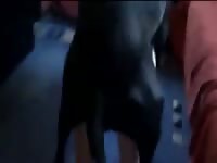 Beastiality tube dog fucks a slut