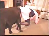 K9 knot tumbler sex video of slut getting creampied