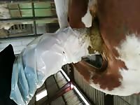 Ebony babe got fisted in the ass