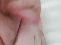 Amateur gay pets his huge dick