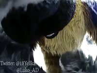 Dog cosplay with two horny gays