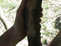Big horse dick gets masturbated