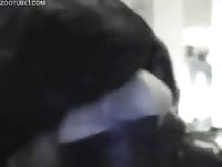 Big black dog fucks a sexy beastie gal
