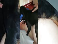 MILF gets gangbanged with a dog xxx