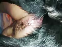 In heat dog xxx helping out an old MILF