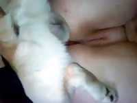 Animal sex with a teen gets filmed at home