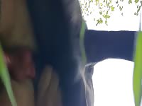 Gay beastiality with a dog and his bf