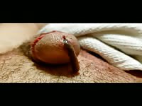 Zoophilia man loves worms inside his cock