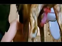 Petite MILF gets fucked by her pet dog